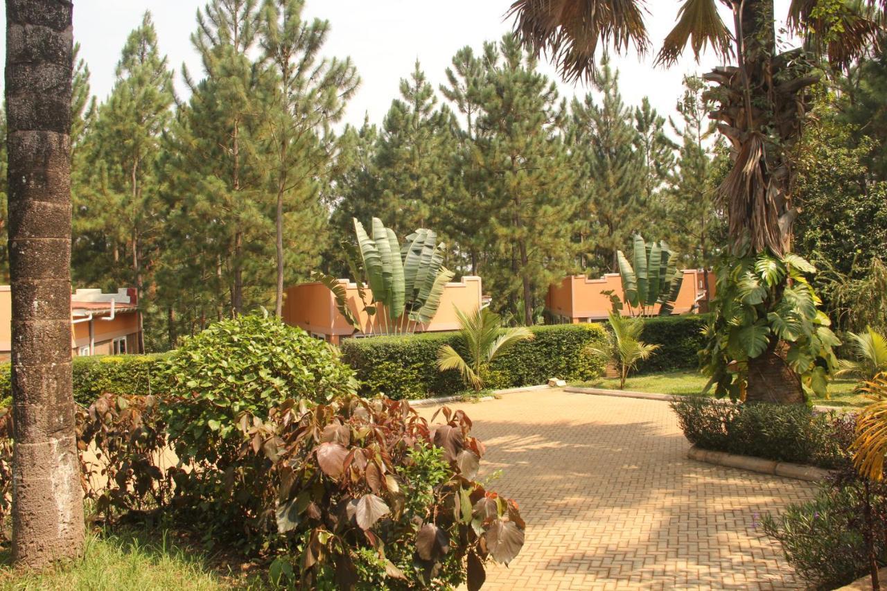 Saltek Forest Cottages Masindi Exterior foto