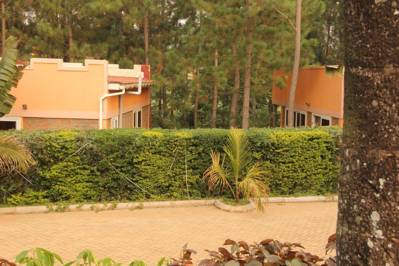Saltek Forest Cottages Masindi Exterior foto