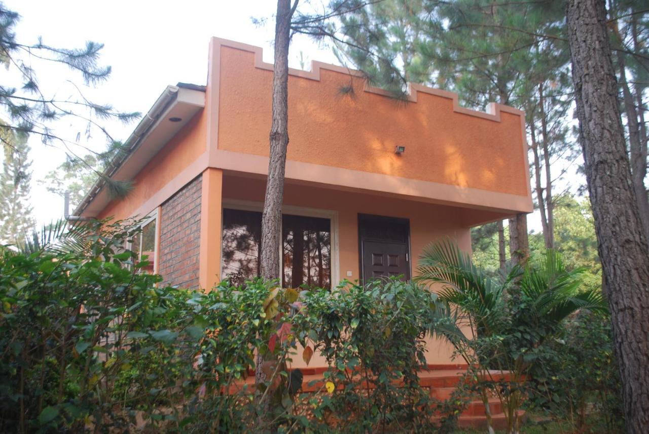 Saltek Forest Cottages Masindi Exterior foto